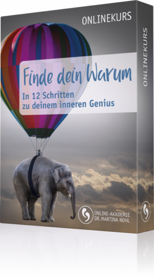 Finde dein Warum – In 12 Schritten zu deinem inneren Genius