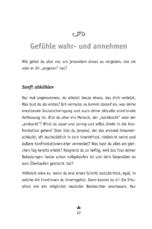 Ratgeber "Wie geht Vergebung?" (PDF) – Bild 4
